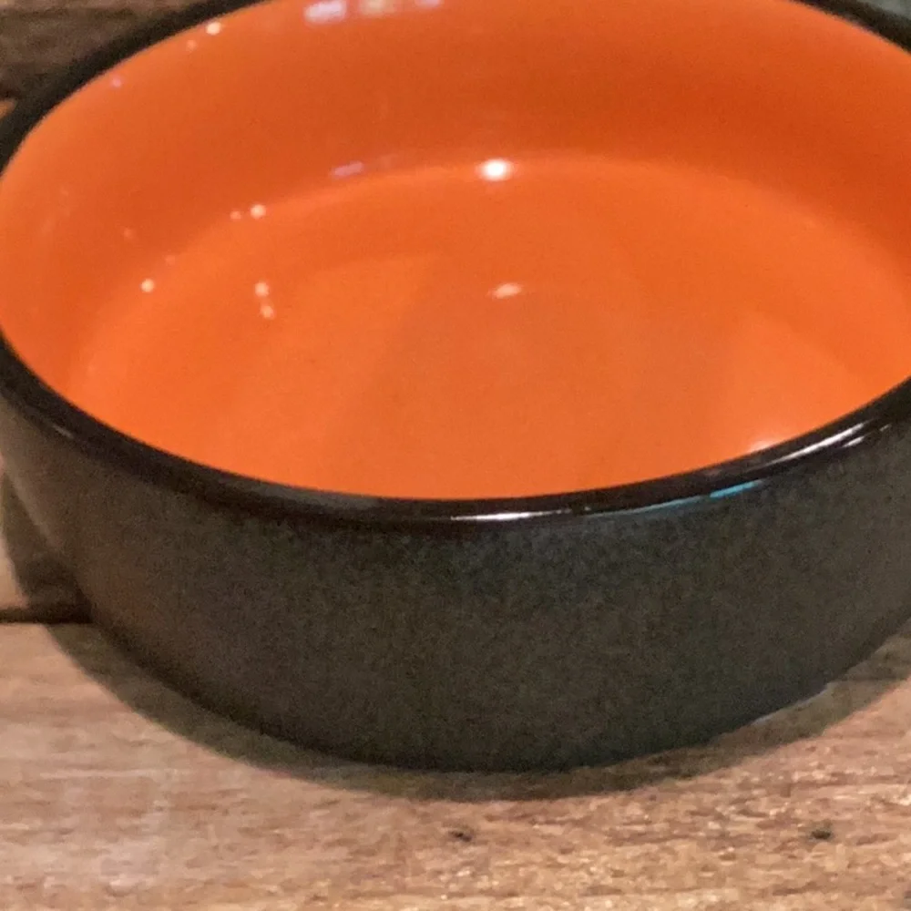 Rae Dunn Halloween SCAREDY CAT Pet Bowl
